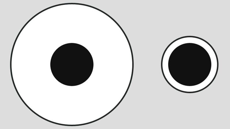Delbeufs Illusion unterschiedliche Wahrnehmung der Portionsgröße auf großen und kleinen Tellern