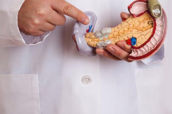 Bauchspeicheldrüse und Ernährung bei Organentzündungen