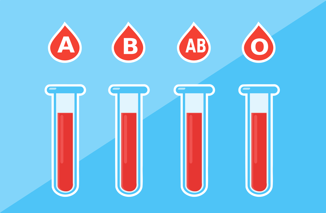 Es gibt 4 Blutgruppen A, B, AB, O. 